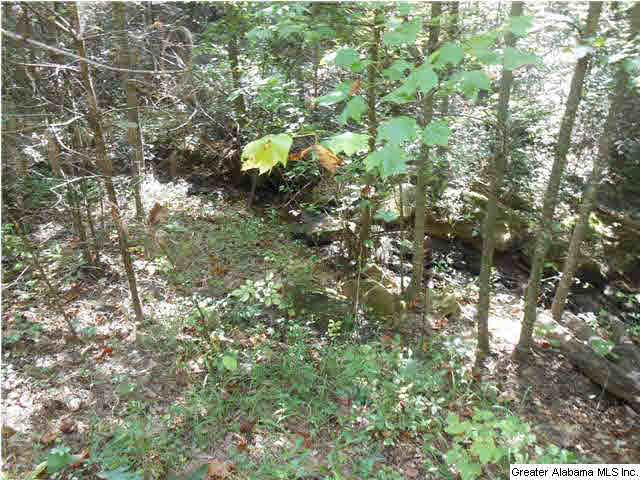 311 Sullivan Lane, Unit 4 5 Springville, AL 35146 - Photo 6 of 17 Gallery Image 6
