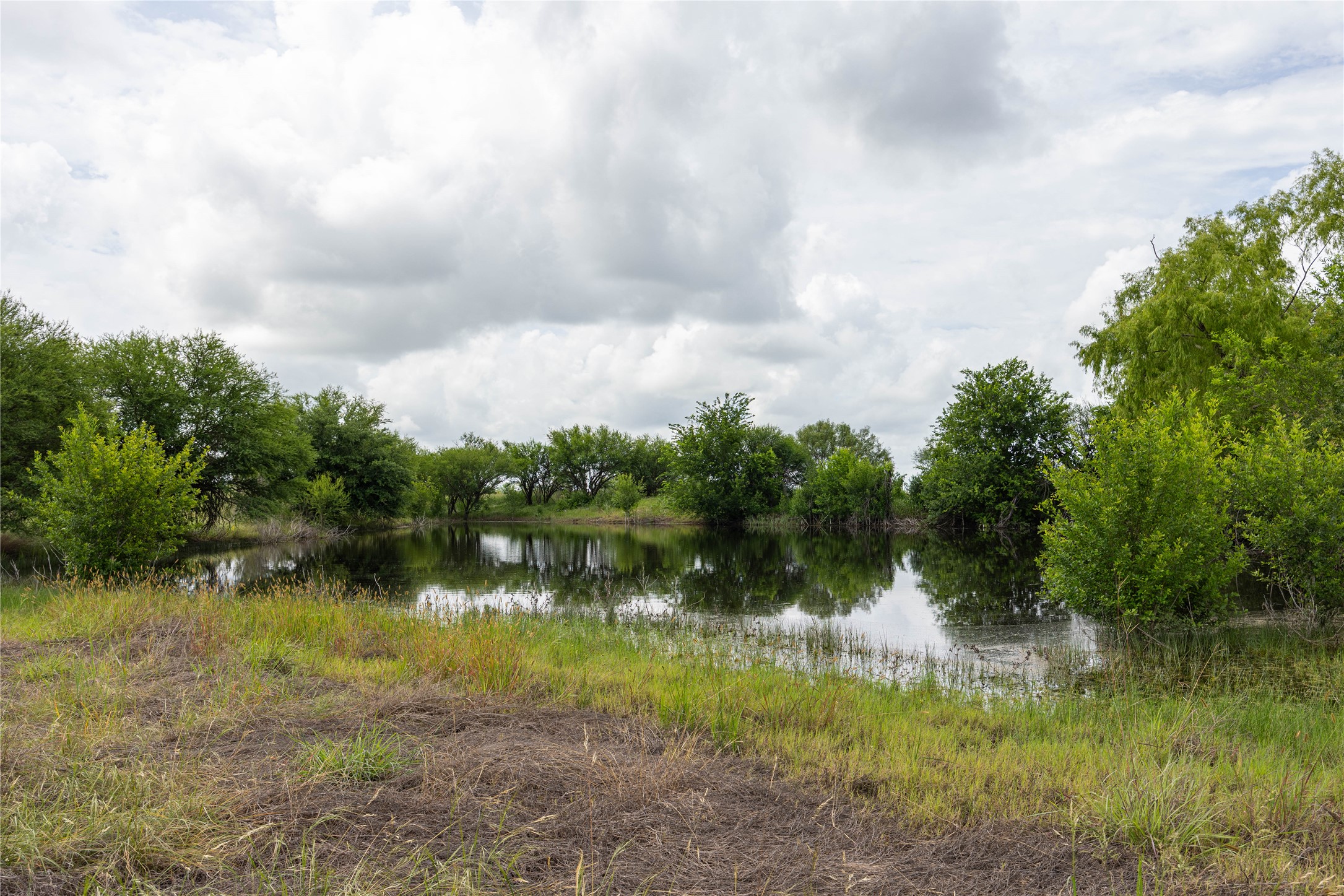 6868 Pfeil Road Schertz, TX 78154 - Photo 5 of 14 a view of lake with green space