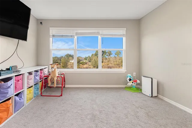 a view of play room with toys and a flat screen tv