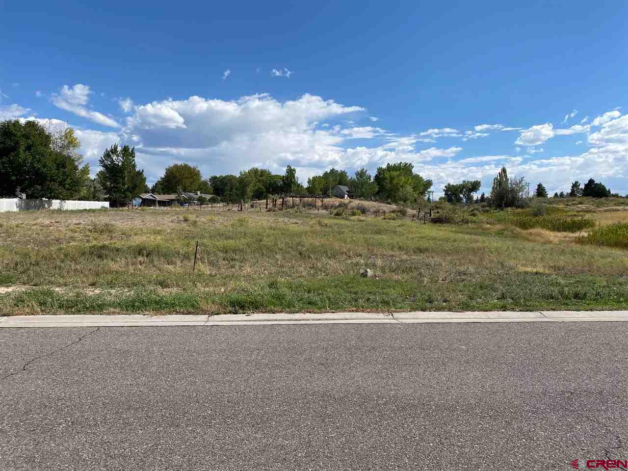 Tbd Pioneer Road Montrose, CO 81401 - Photo 3 of 11