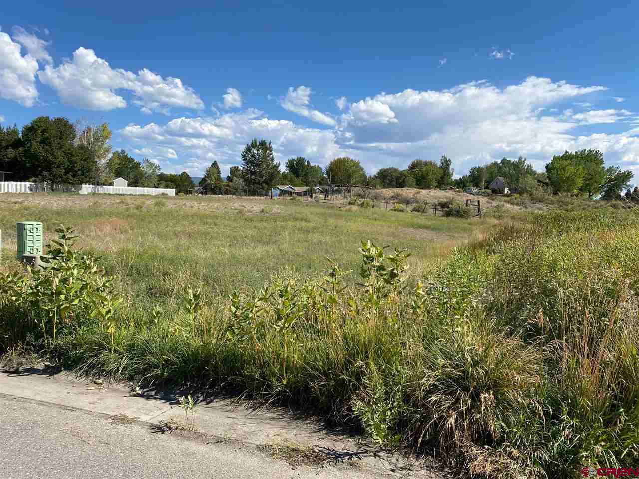 Tbd Pioneer Road Montrose, CO 81401 - Photo 4 of 11