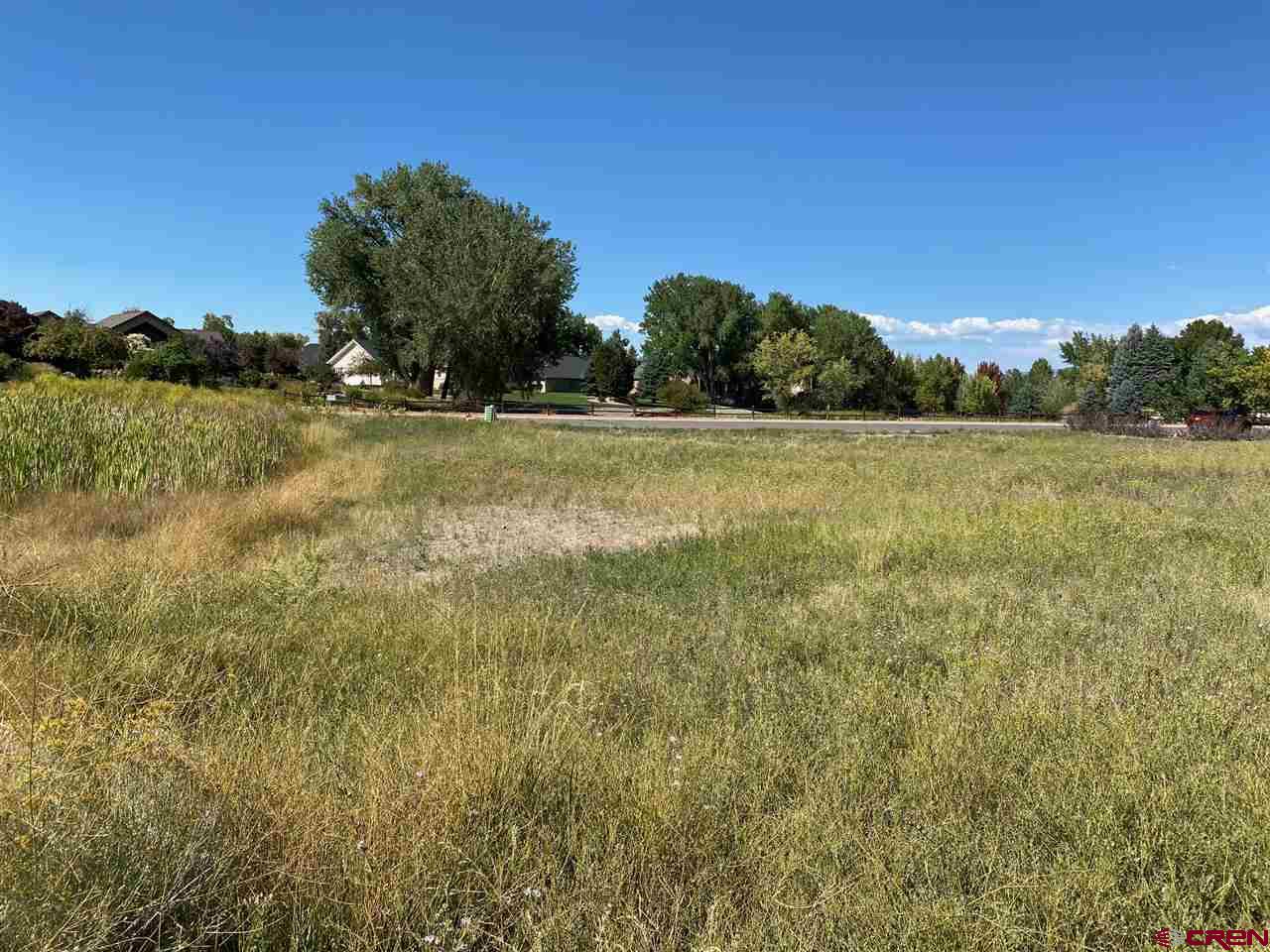 Tbd Pioneer Road Montrose, CO 81401 - Photo 6 of 11