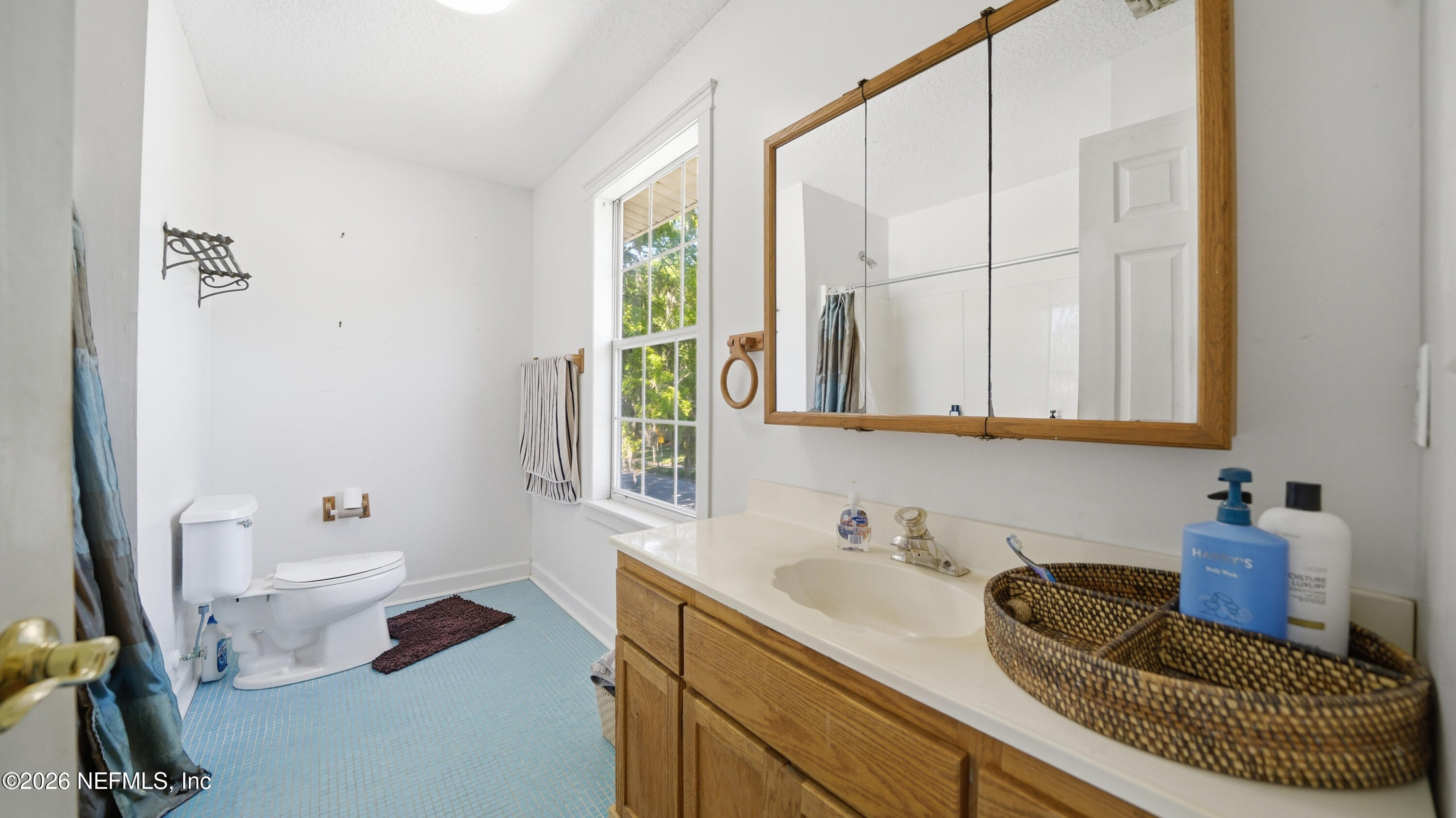 2216 Brentfield Road Jacksonville, FL 32225 - Photo 46 of 62 a bathroom with a sink and a mirror