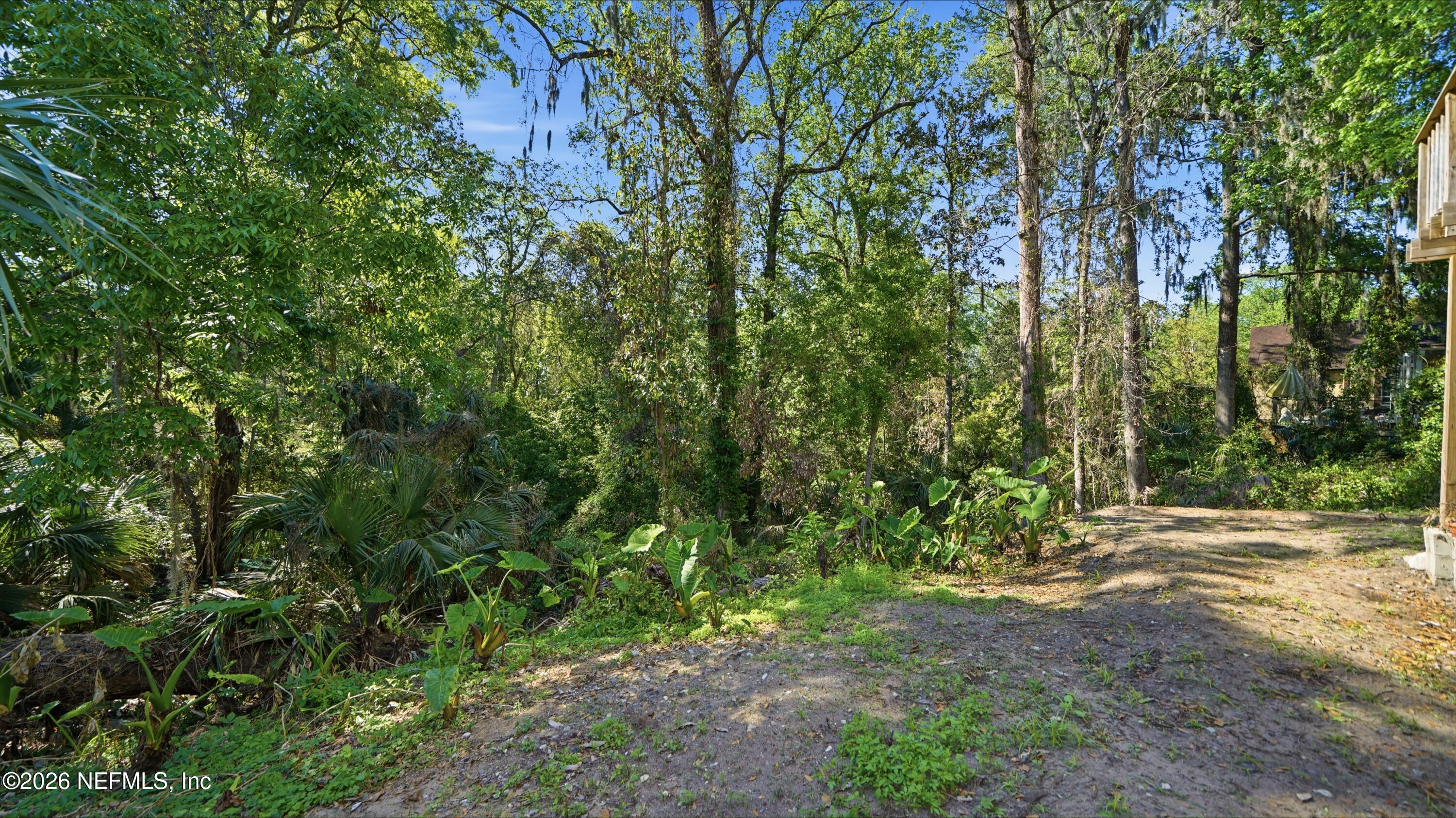 2216 Brentfield Road Jacksonville, FL 32225 - Photo 50 of 62 a view of backyard with green space