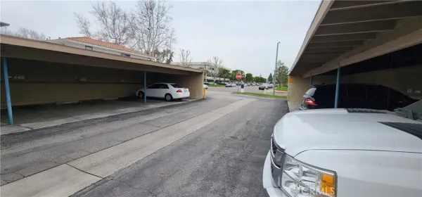 a garden with trees in front of it