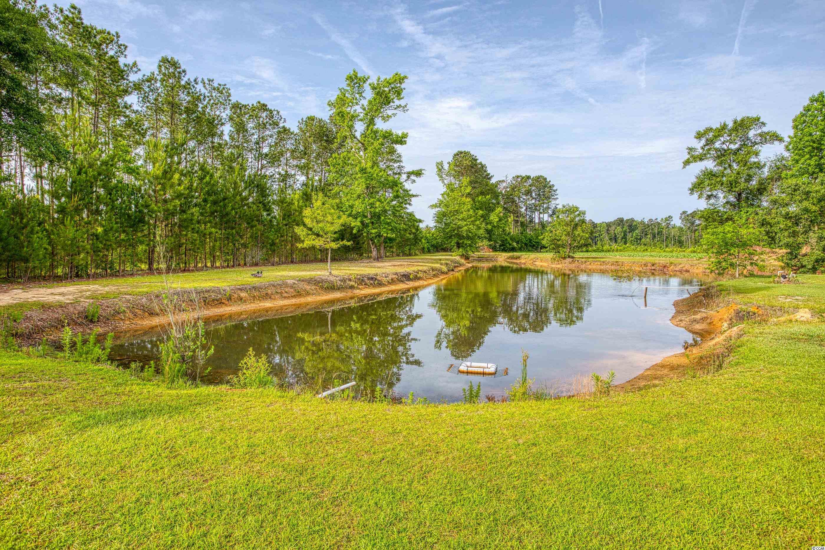 7151 Old Pee Dee Road Hemingway, SC 29554 - Photo 32 of 35