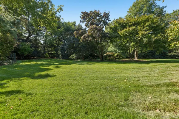 a view of a big yard with large trees