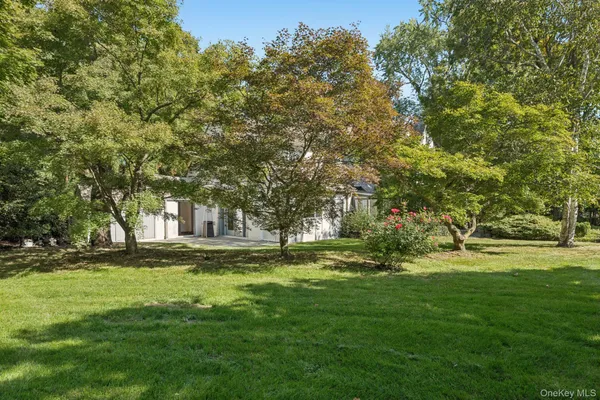 a big yard with trees