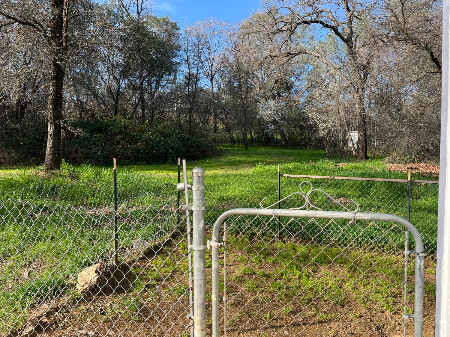 14135 Musso Road, Unit 11 Auburn, CA 95603 - Photo 6 of 19