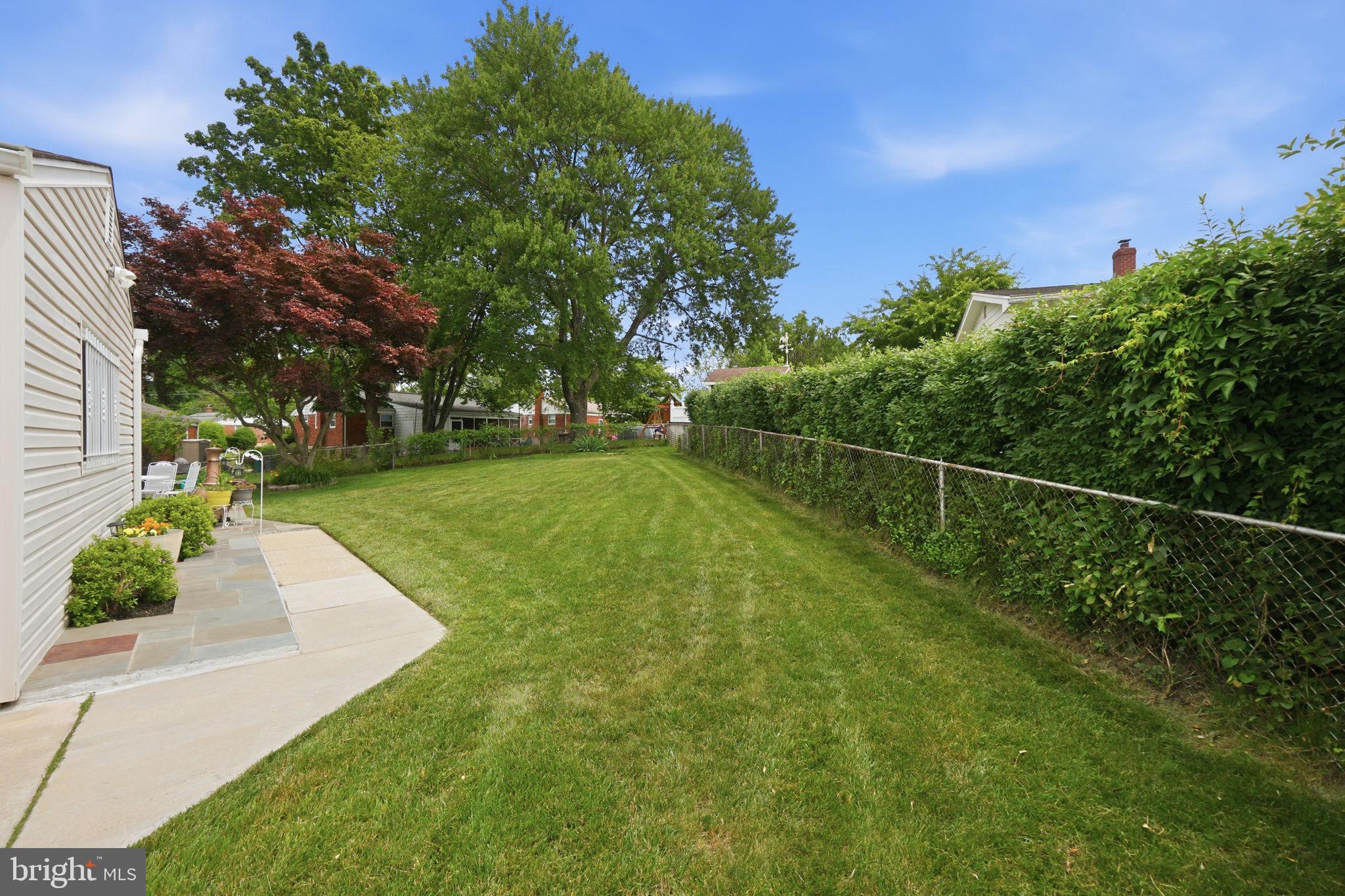 10713 Gregory Street Silver Spring, MD 20901 - Photo 31 of 38 Well Manicured Yard