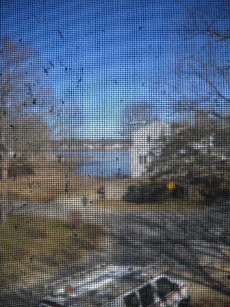 3 Pilgrim Avenue Wareham, MA 02571 - Photo 20 of 20 Additional Photo