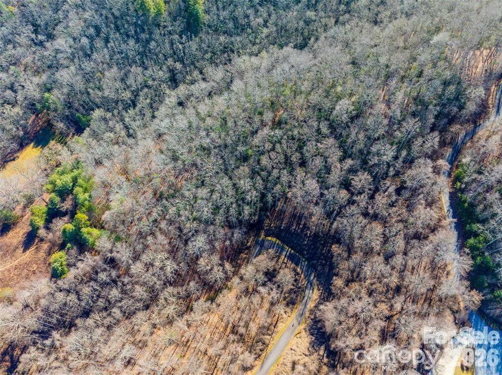 19-20 Riva Ridge Drive, Unit 26/34 Fairview, NC 28730 - Photo 9 of 15