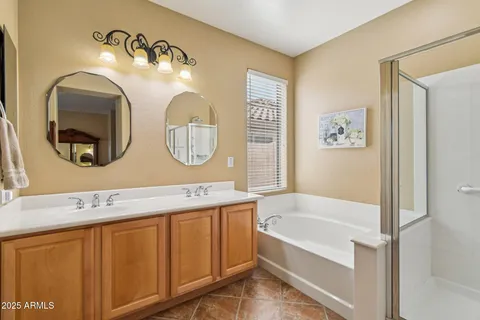 a bathroom with 2 sink bathtub and a mirror