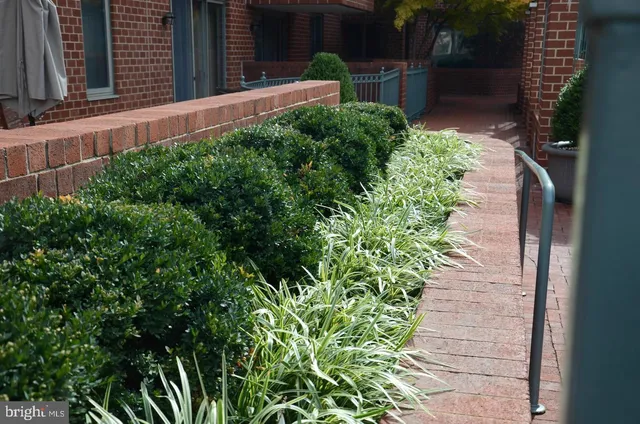 a view of a backyard with potted plants