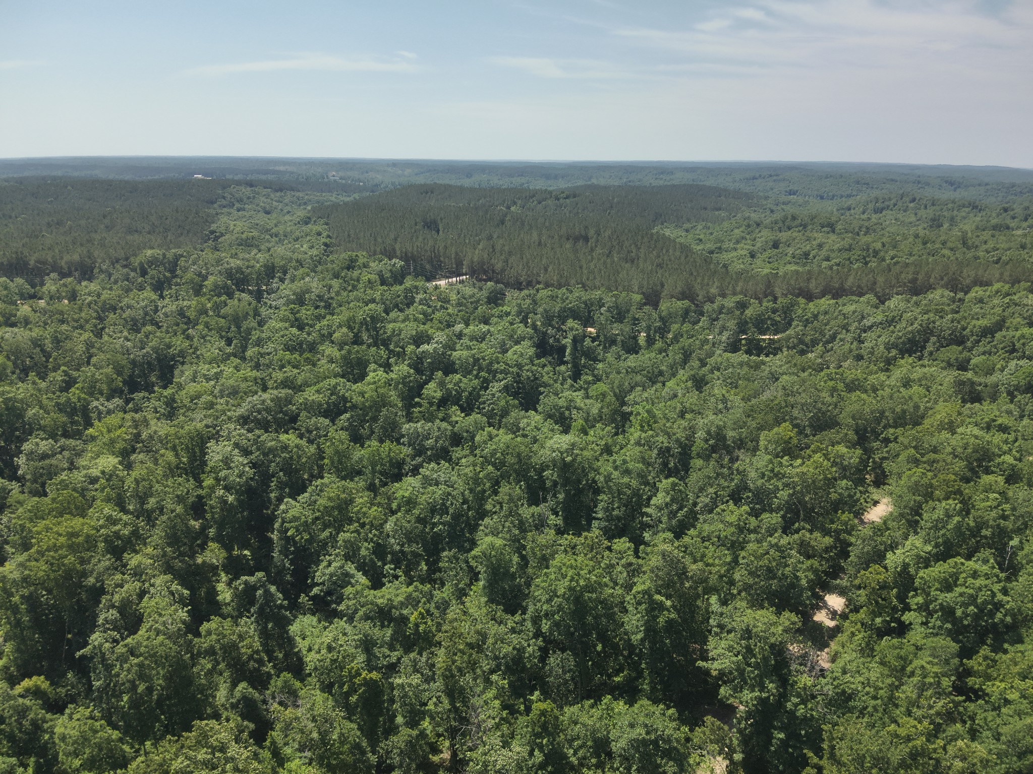 0 Bear Creek Road Waverly, TN 37185 - Photo 16 of 35 an aerial view of forest