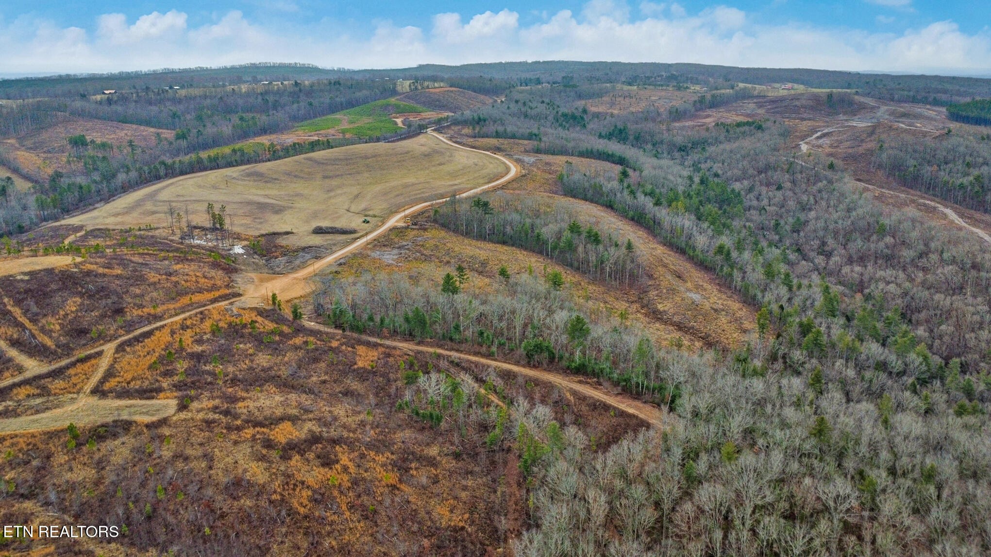 a view of a dry yard