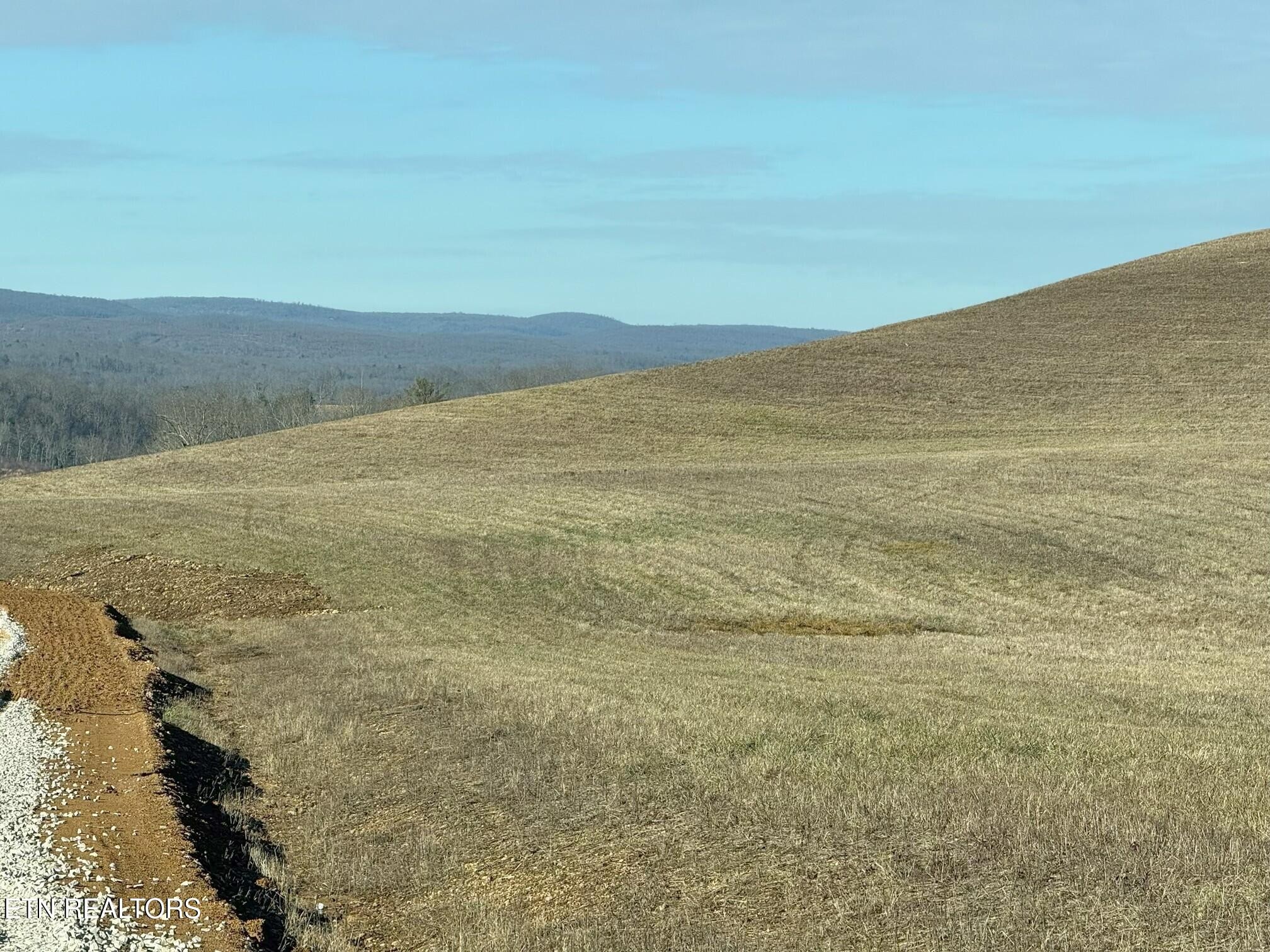 0 Possom Trot Road Grandview, TN 37337 - Photo 2 of 8 a view of an ocean