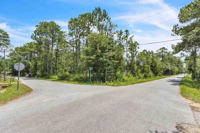 a view of a backyard with plants and a lake view
