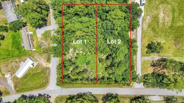 a view of a yard with plants