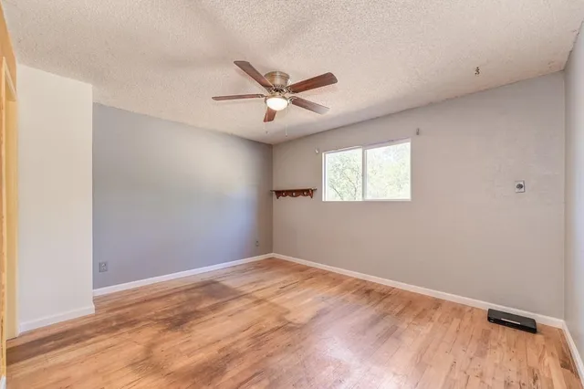 a view of a big room with carpet and windows