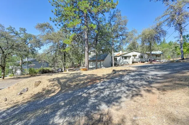 a view of a yard with a trees