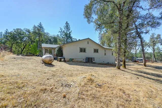 a view of a yard with a tree