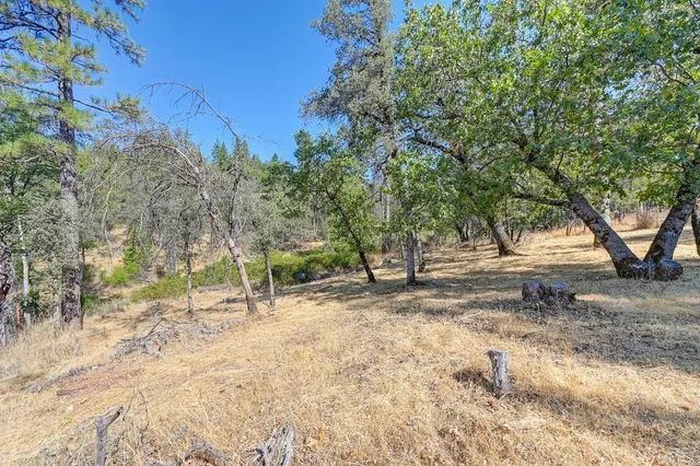 a view of a house with trees in the background