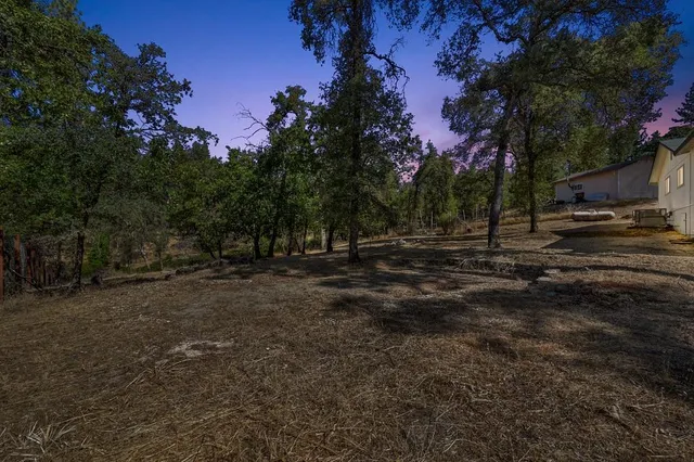 a view of road with trees