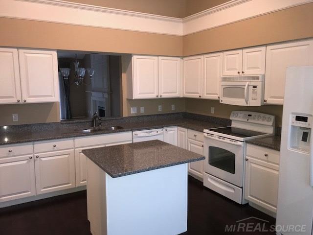 1659 Maple Creek Court Rochester, MI 48306 - Photo 38 of 48 Kitchen