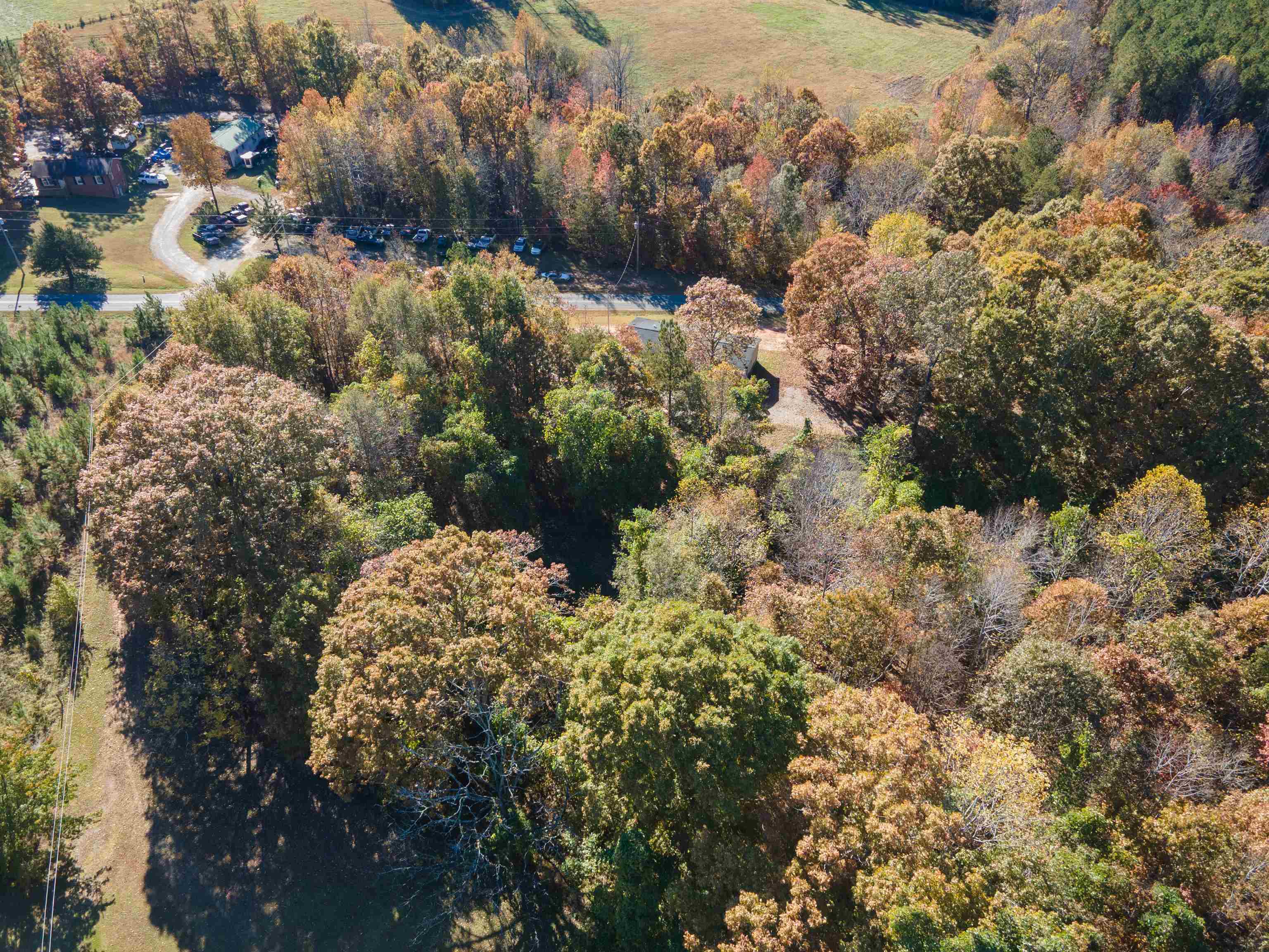 523 Mcdade Road Tryon, NC 28782 - Photo 23 of 38