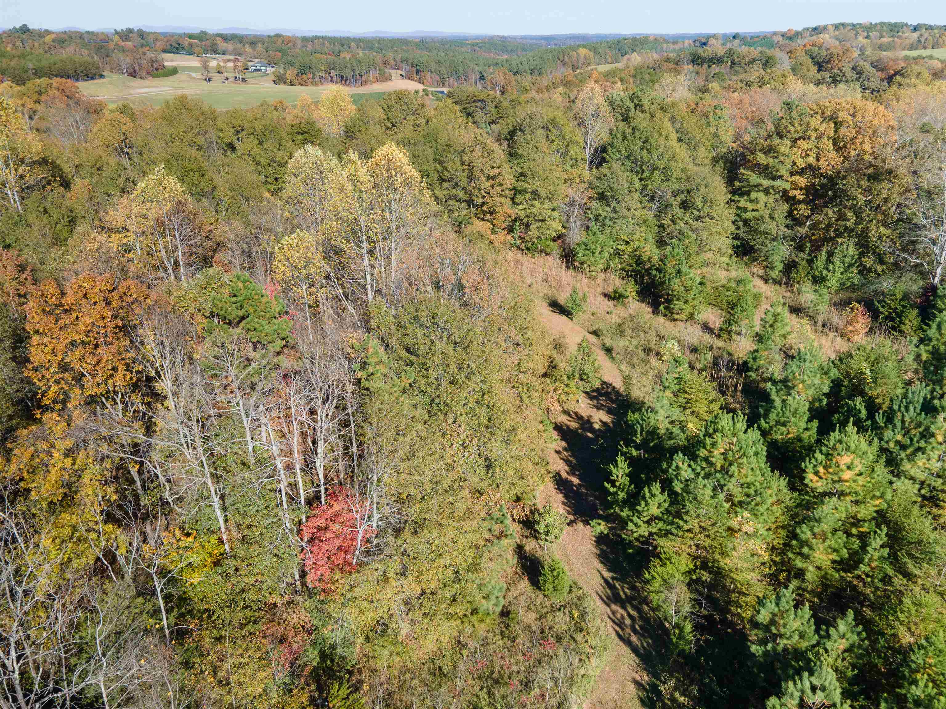 523 Mcdade Road Tryon, NC 28782 - Photo 25 of 38