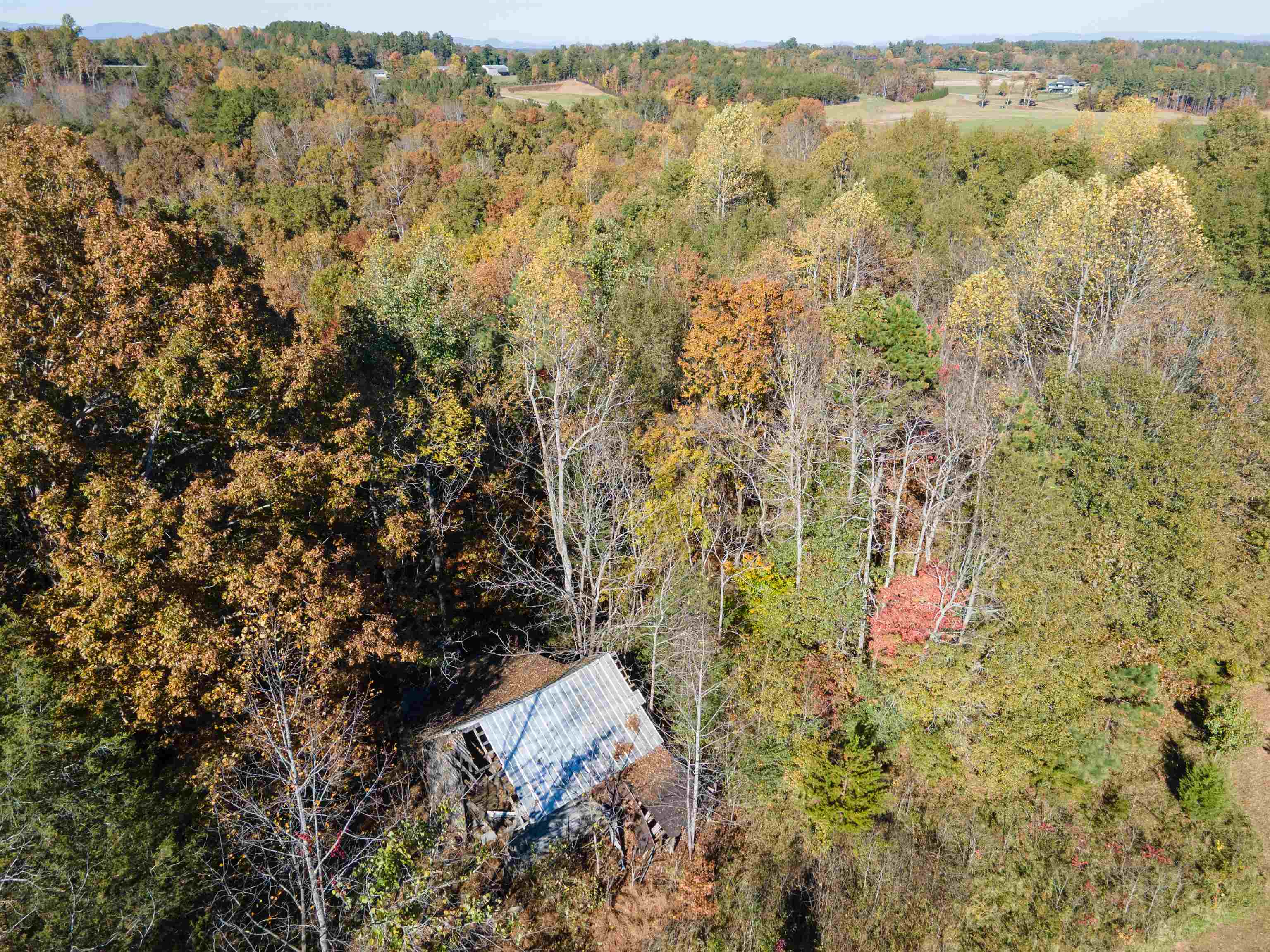 523 Mcdade Road Tryon, NC 28782 - Photo 26 of 38