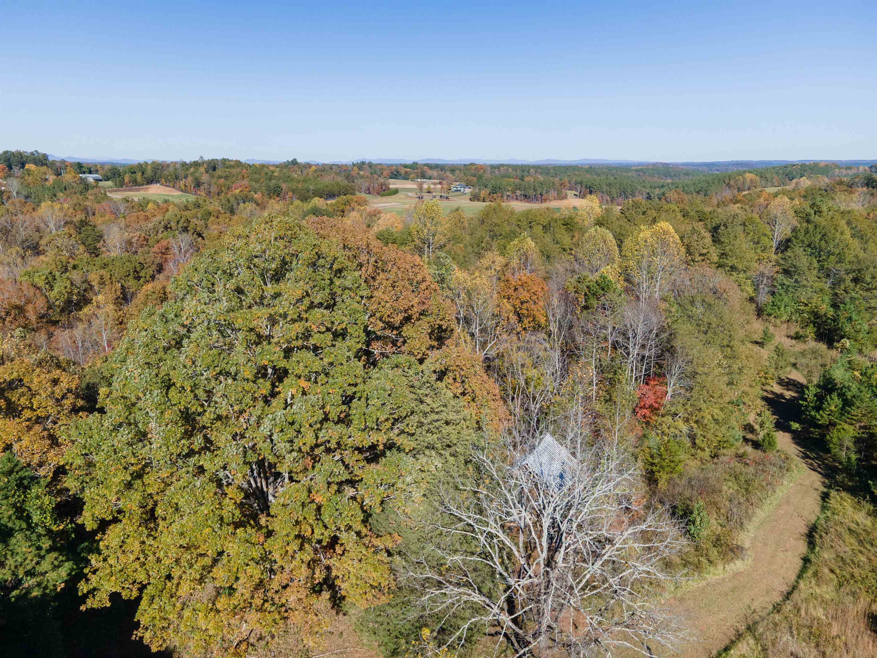 523 Mcdade Road Tryon, NC 28782 - Photo 29 of 38