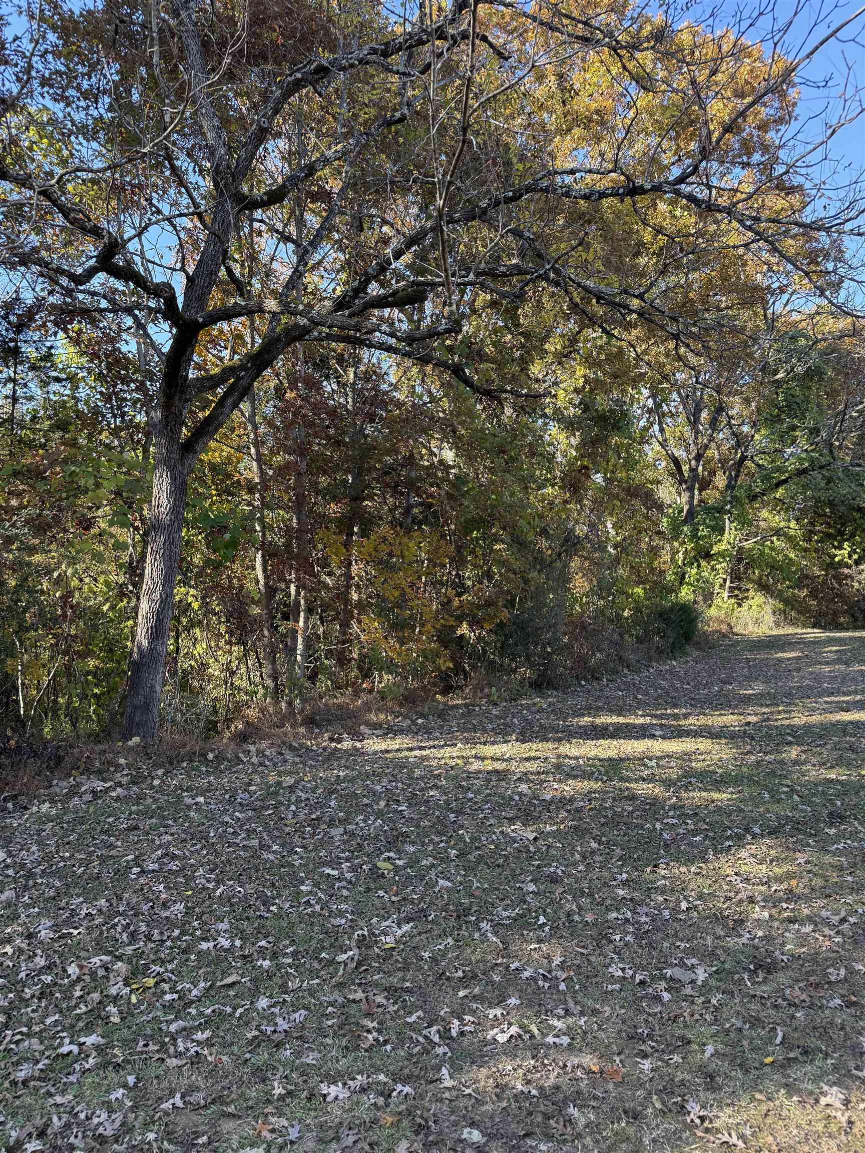523 Mcdade Road Tryon, NC 28782 - Photo 30 of 38