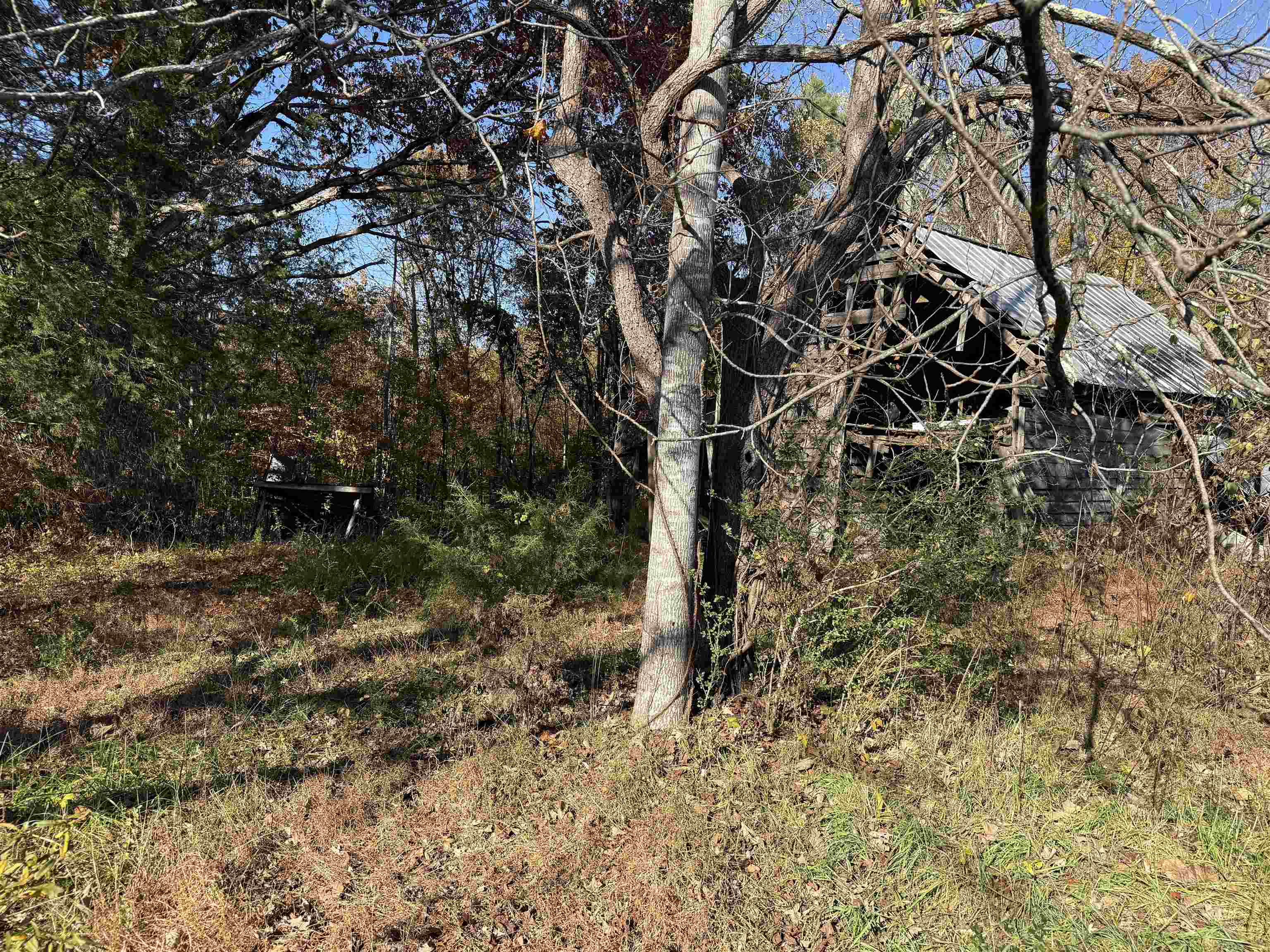 523 Mcdade Road Tryon, NC 28782 - Photo 32 of 38