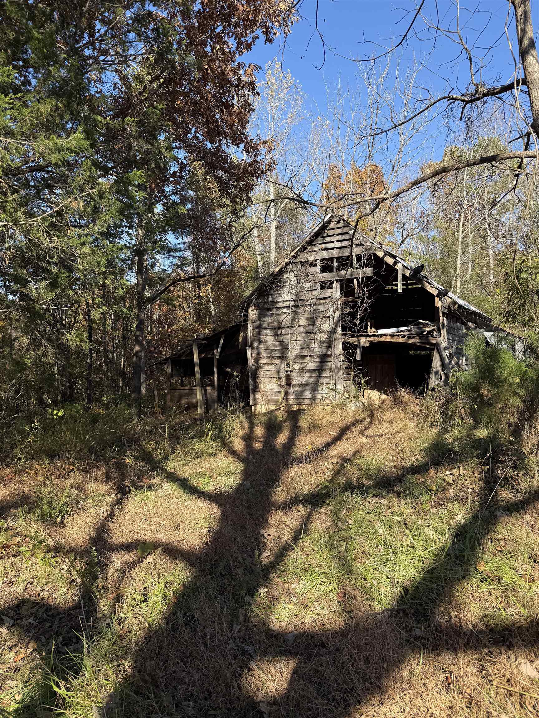 523 Mcdade Road Tryon, NC 28782 - Photo 33 of 38