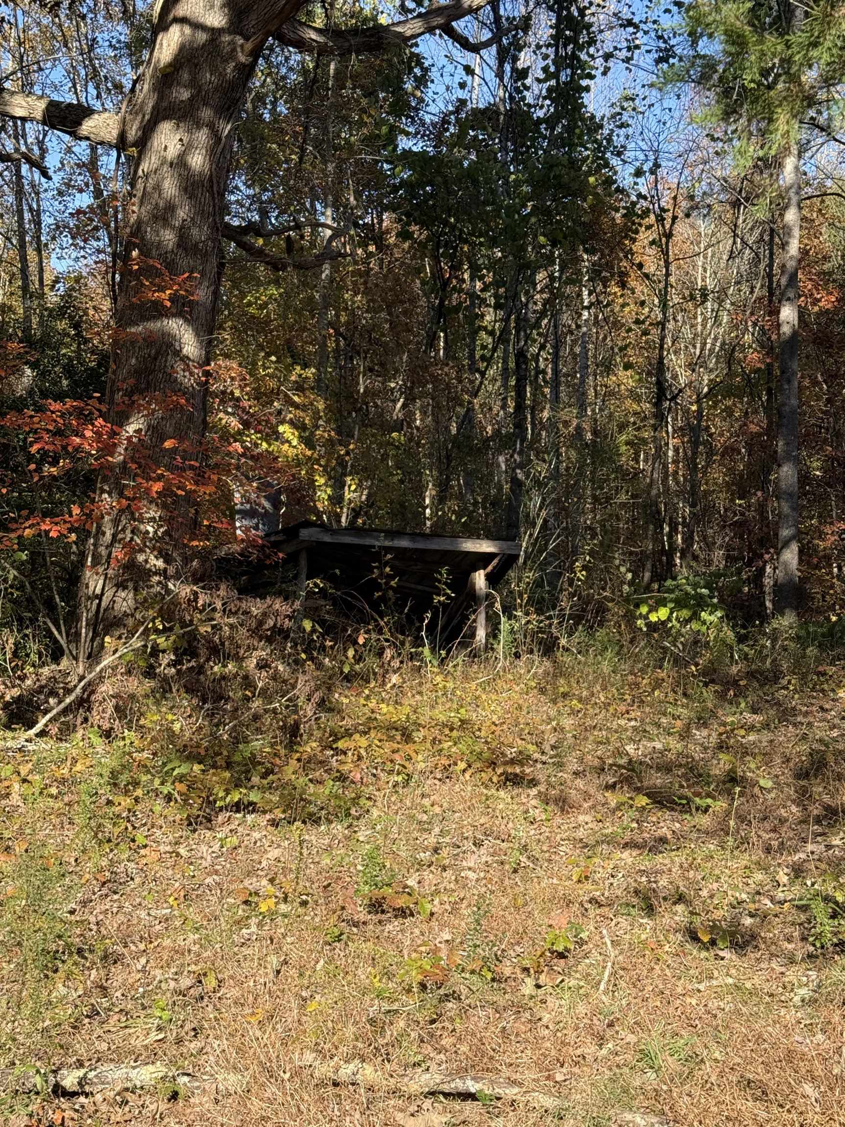 523 Mcdade Road Tryon, NC 28782 - Photo 34 of 38