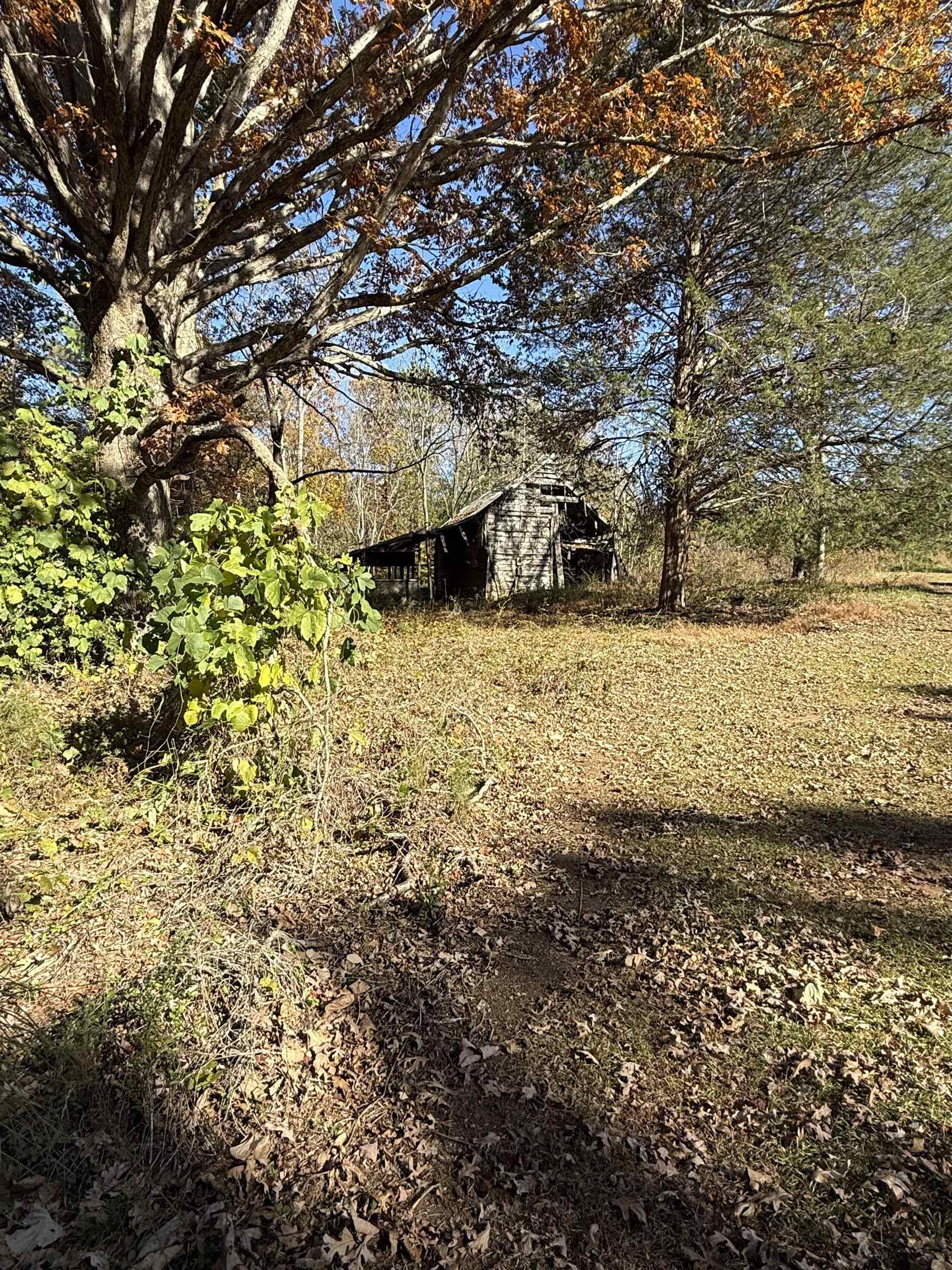 523 Mcdade Road Tryon, NC 28782 - Photo 35 of 38