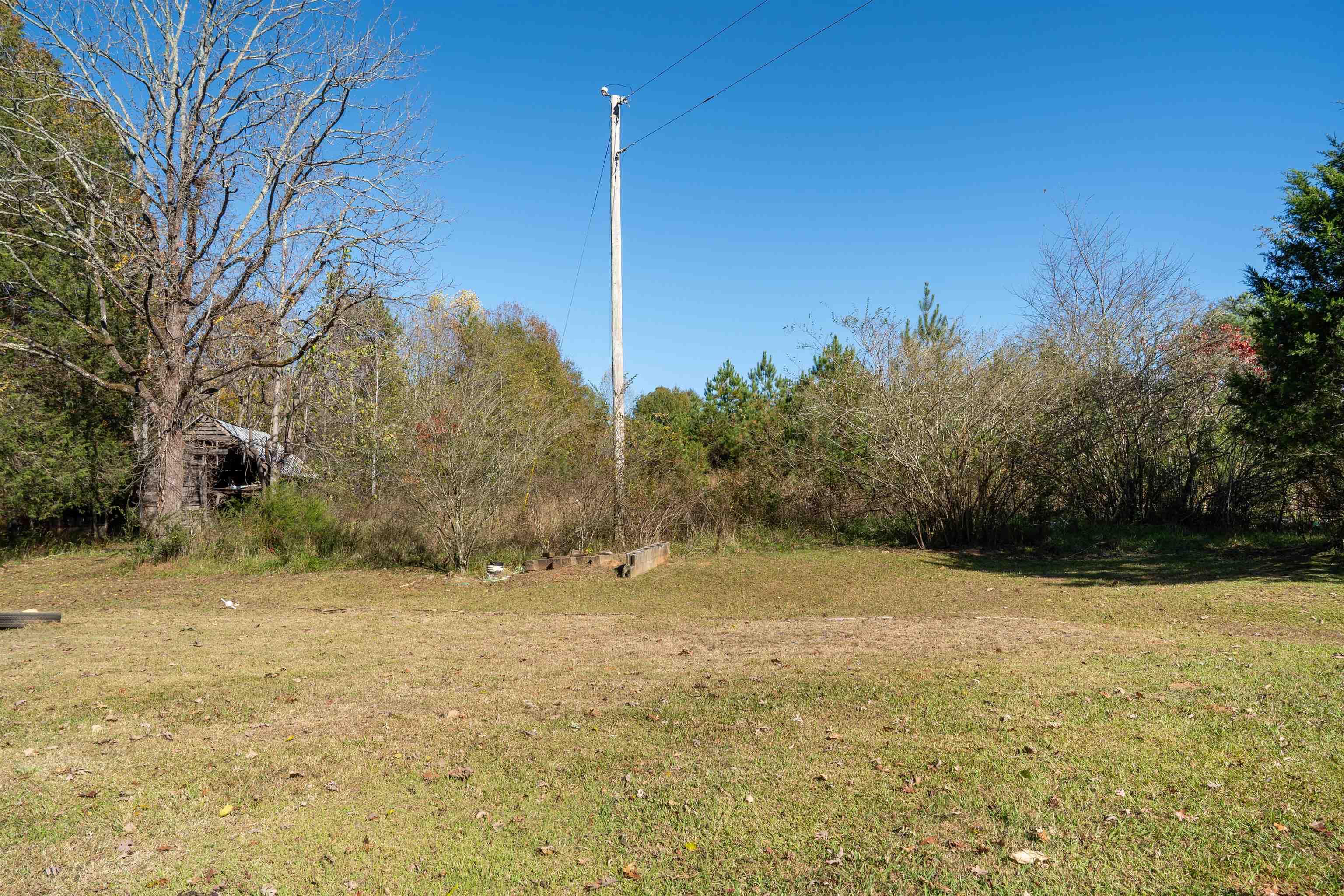 523 Mcdade Road Tryon, NC 28782 - Photo 4 of 38