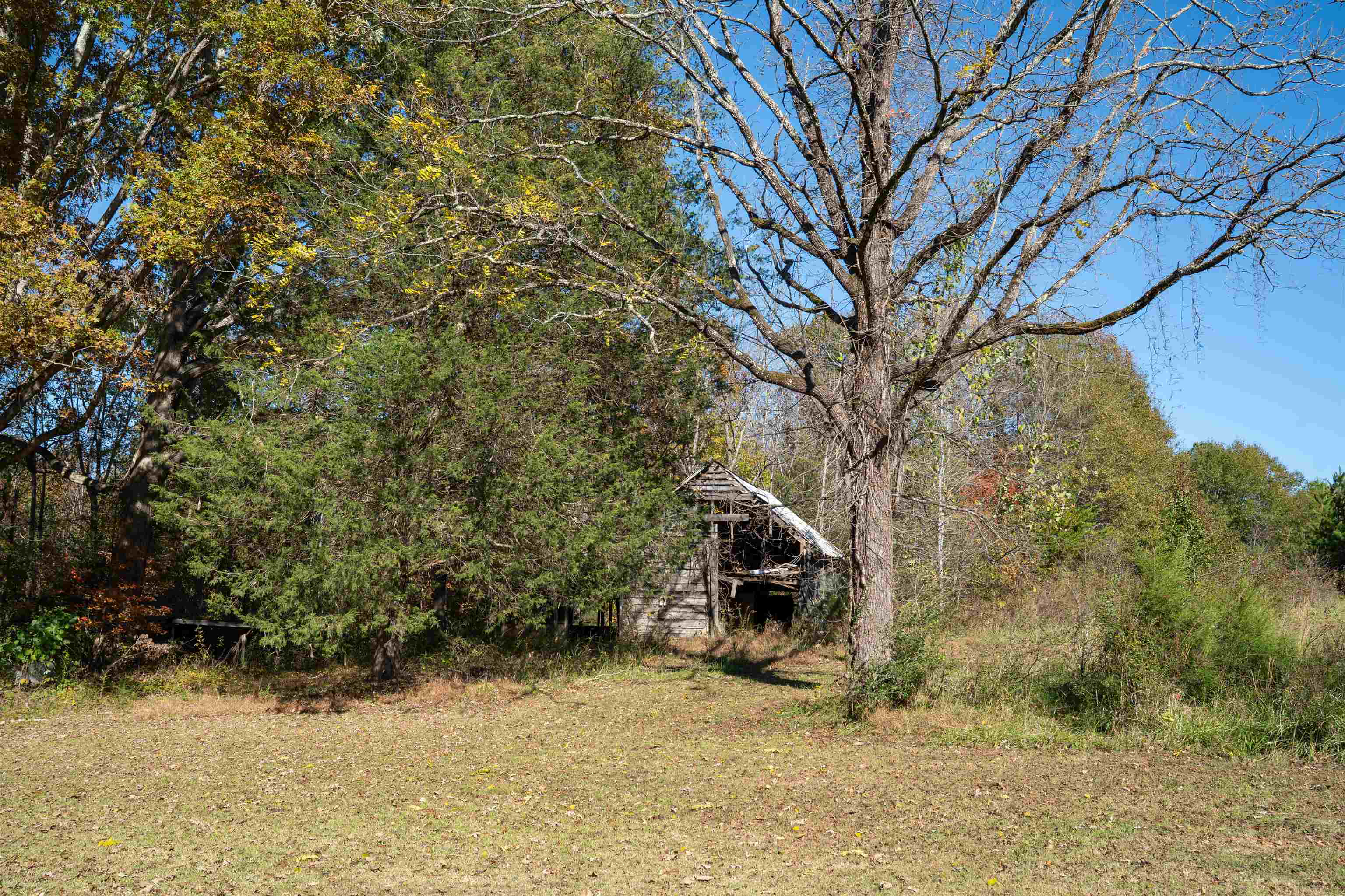 523 Mcdade Road Tryon, NC 28782 - Photo 6 of 38