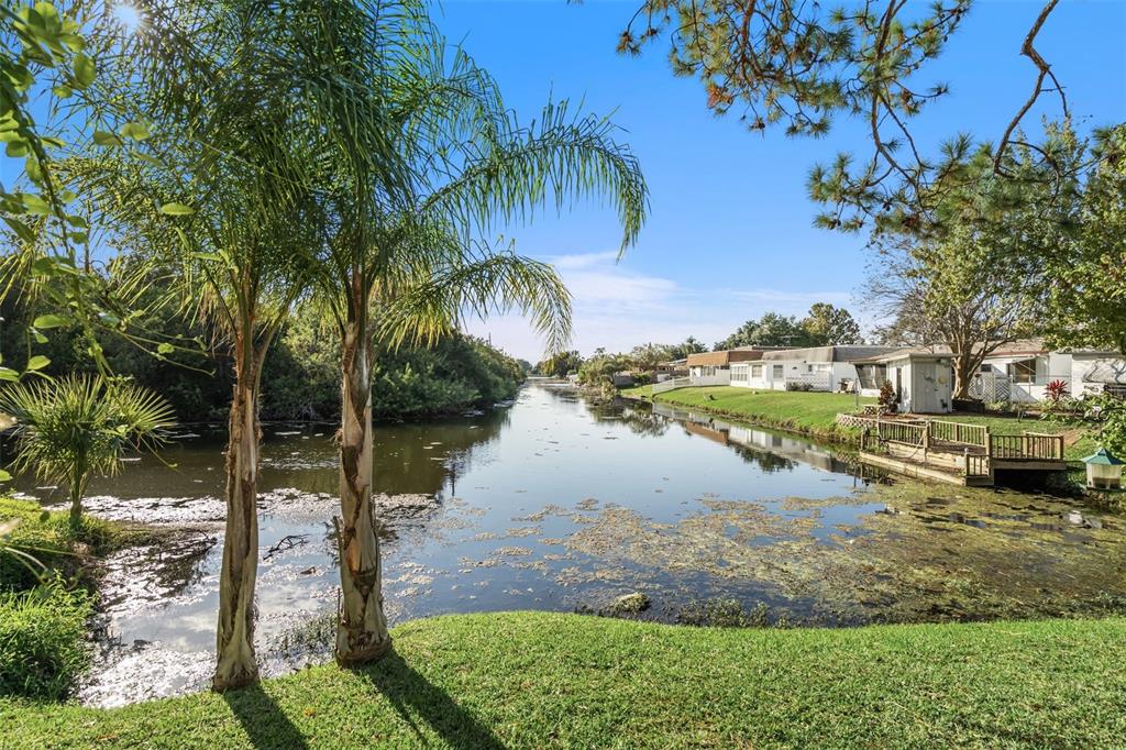 3837 Ming Tree Drive New Port Richey, FL 34652 - Photo 1 of 1 Gallery Image 1