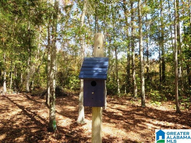 250 Monroe Mill Road Ashland, AL 36251 - Photo 23 of 25