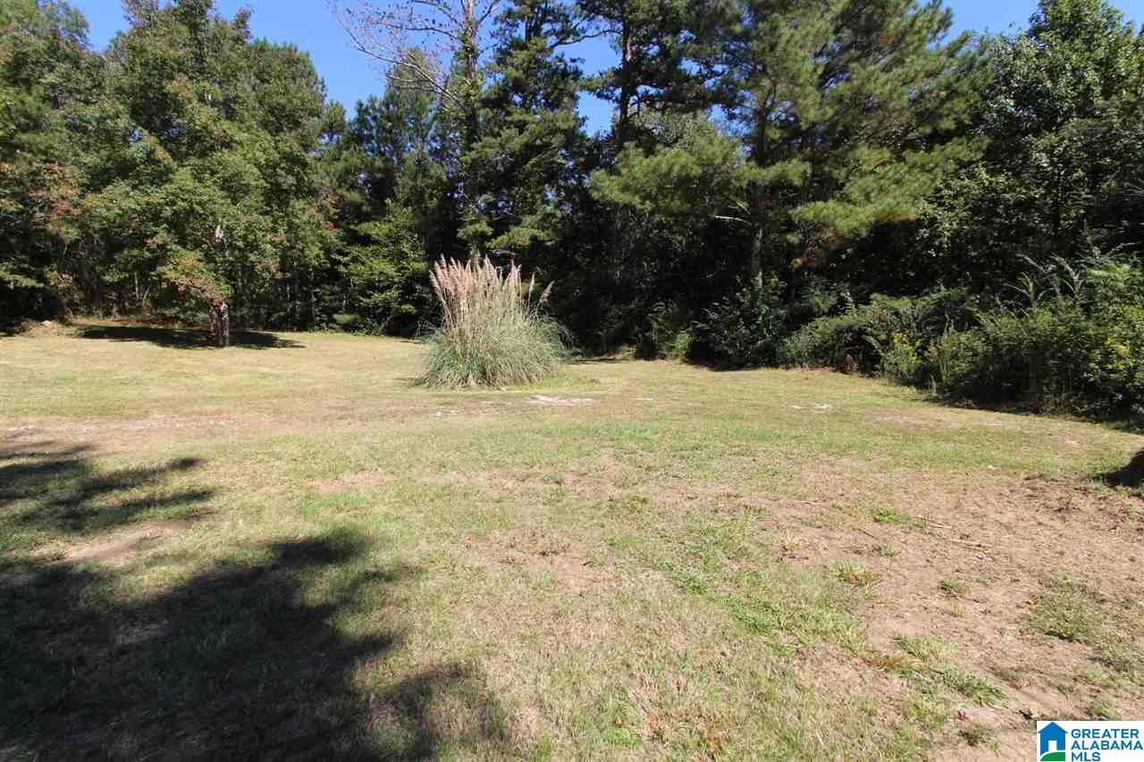 4447 Wellington Road Jacksonville, AL 36265 - Photo 19 of 23