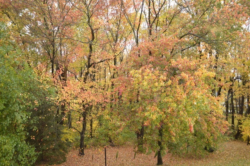 10 Nottingham Road Westborough, MA 01581 - Photo 29 of 30 Gallery Image 29
