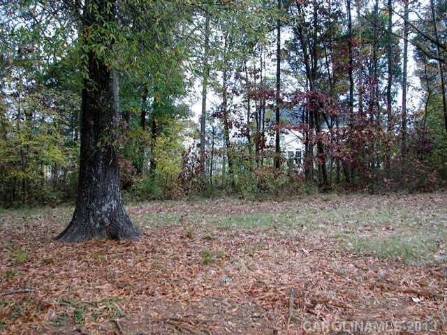 3482 Blue Jay Pass Fort Mill, SC 29708 - Photo 15 of 16