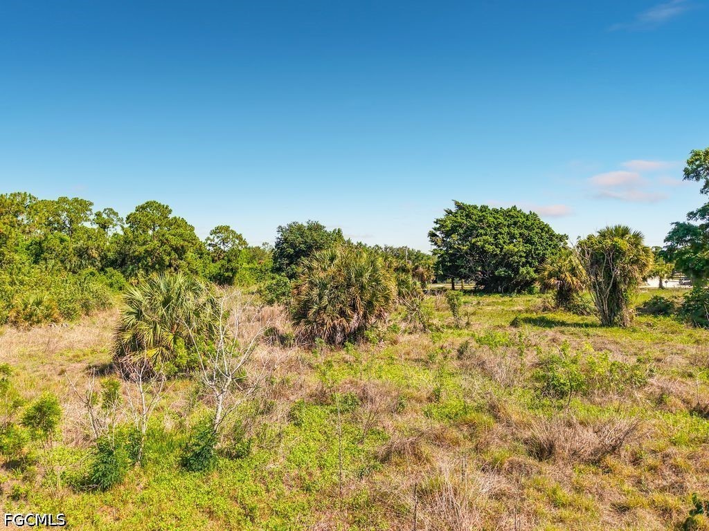 Lake Trafford Road Immokalee, FL 34142 - Photo 8 of 14