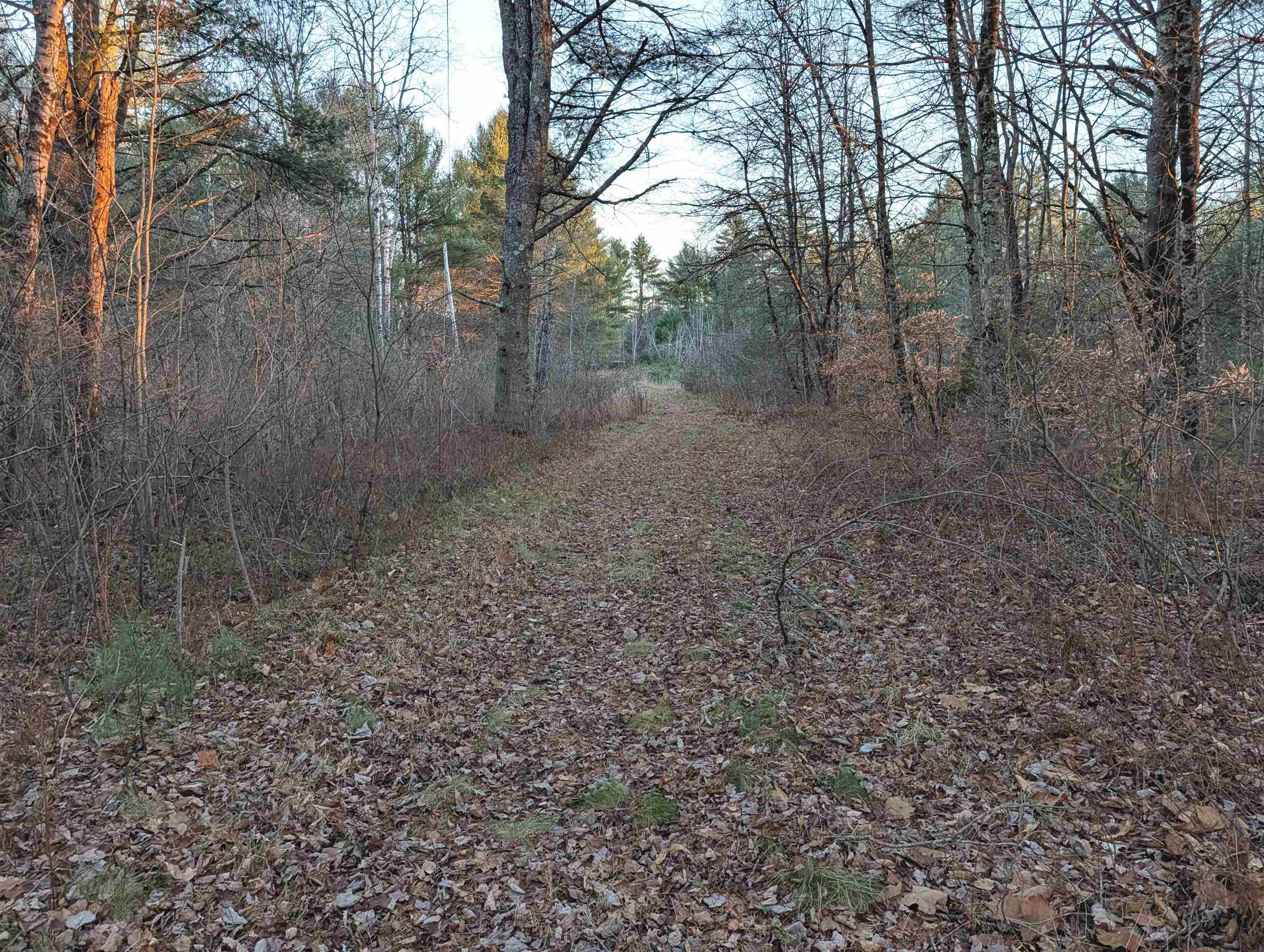 13 Cattail Lane Milton, NH 03852 - Photo 13 of 16