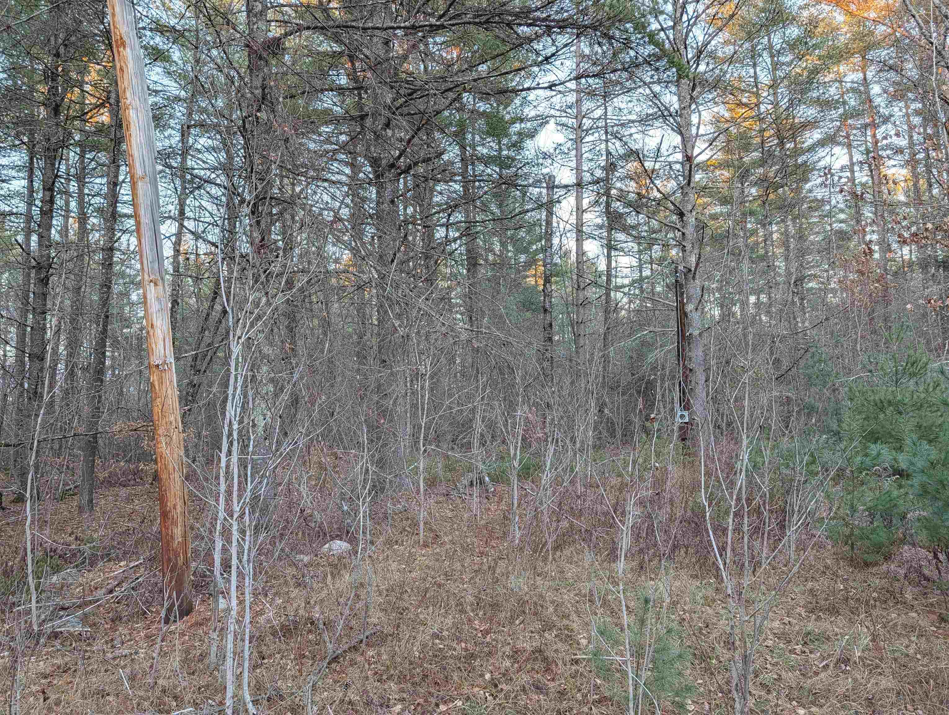 13 Cattail Lane Milton, NH 03852 - Photo 15 of 16