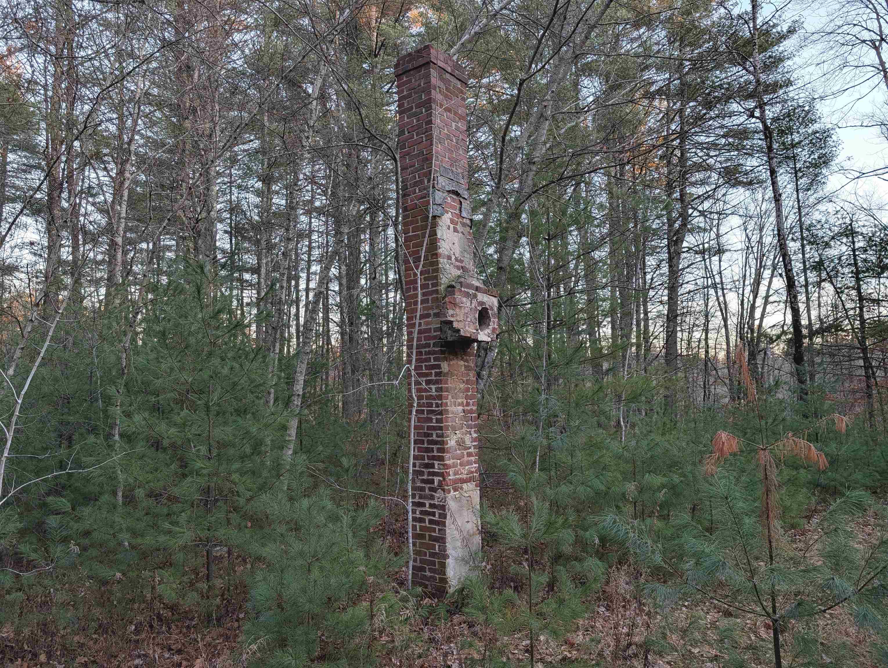 13 Cattail Lane Milton, NH 03852 - Photo 16 of 16