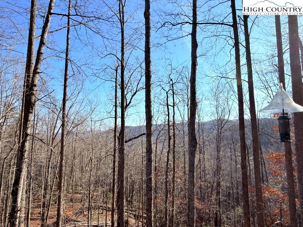 154 Breezy Lane Deep Gap, NC 28618 - Photo 23 of 46 a view of a backyard of the house